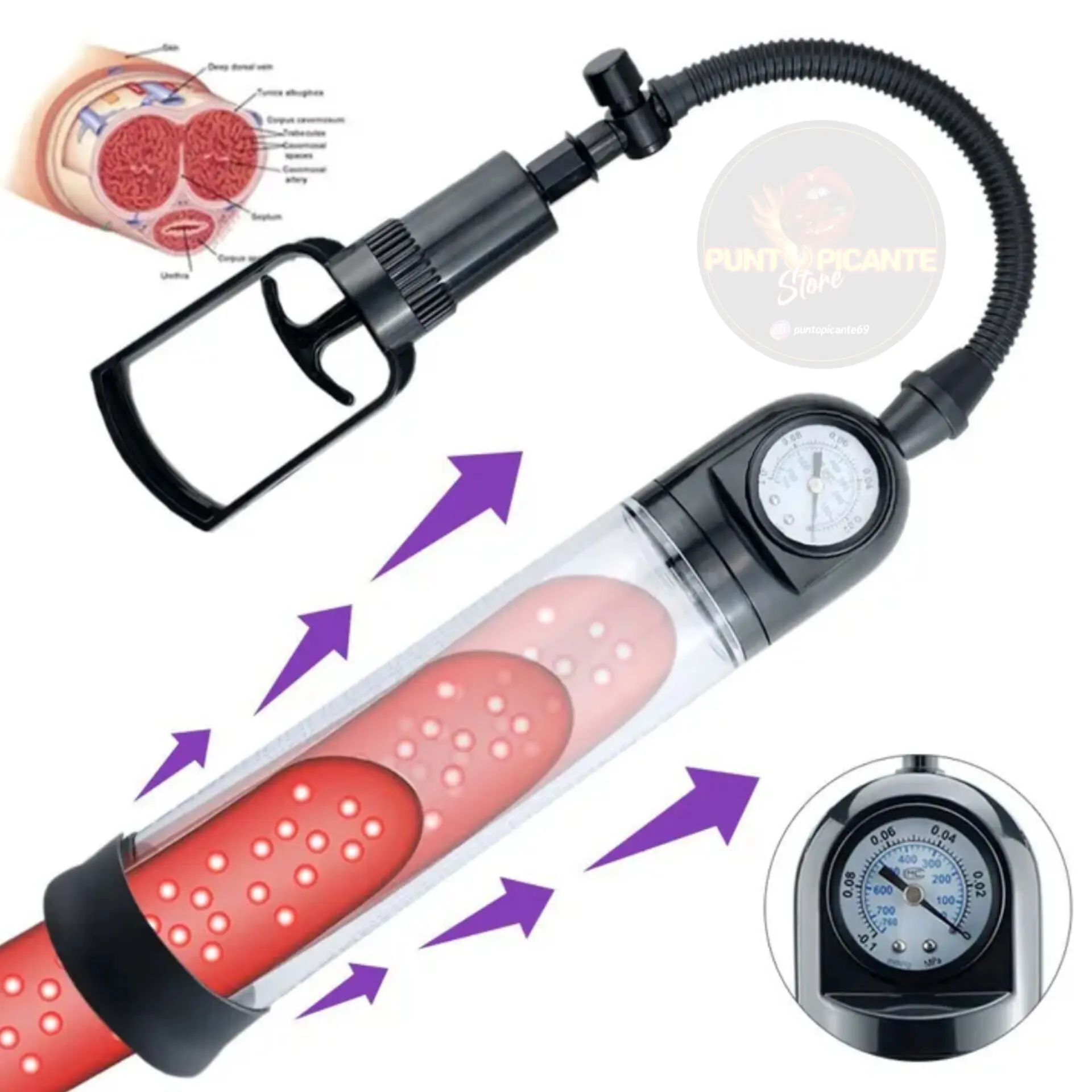 InShot_20241130_123831468